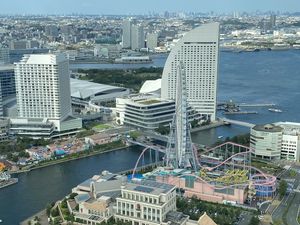 Preview wallpaper ferris wheel, city, buildings, cityscape, aerial view