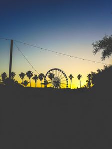 Preview wallpaper ferris wheel, palm trees, dark, dusk