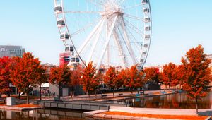 Preview wallpaper ferris wheel, park, water, reflection