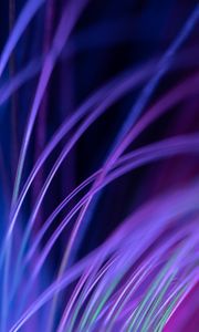 Preview wallpaper fiber, backlight, macro, purple