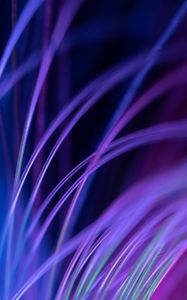 Preview wallpaper fiber, backlight, macro, purple