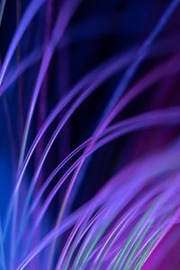 Preview wallpaper fiber, backlight, macro, purple