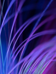 Preview wallpaper fiber, backlight, macro, purple