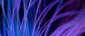 Preview wallpaper fiber, backlight, macro, purple