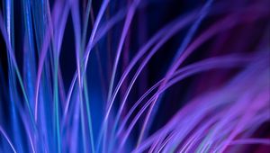 Preview wallpaper fiber, backlight, macro, purple