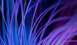 Preview wallpaper fiber, backlight, macro, purple