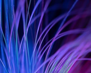 Preview wallpaper fiber, backlight, macro, purple