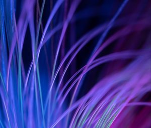 Preview wallpaper fiber, backlight, macro, purple