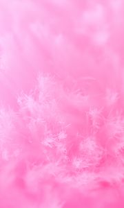 Preview wallpaper fibers, macro, structure, pink