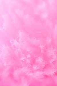 Preview wallpaper fibers, macro, structure, pink