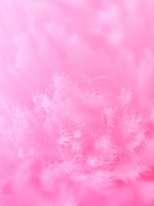 Preview wallpaper fibers, macro, structure, pink