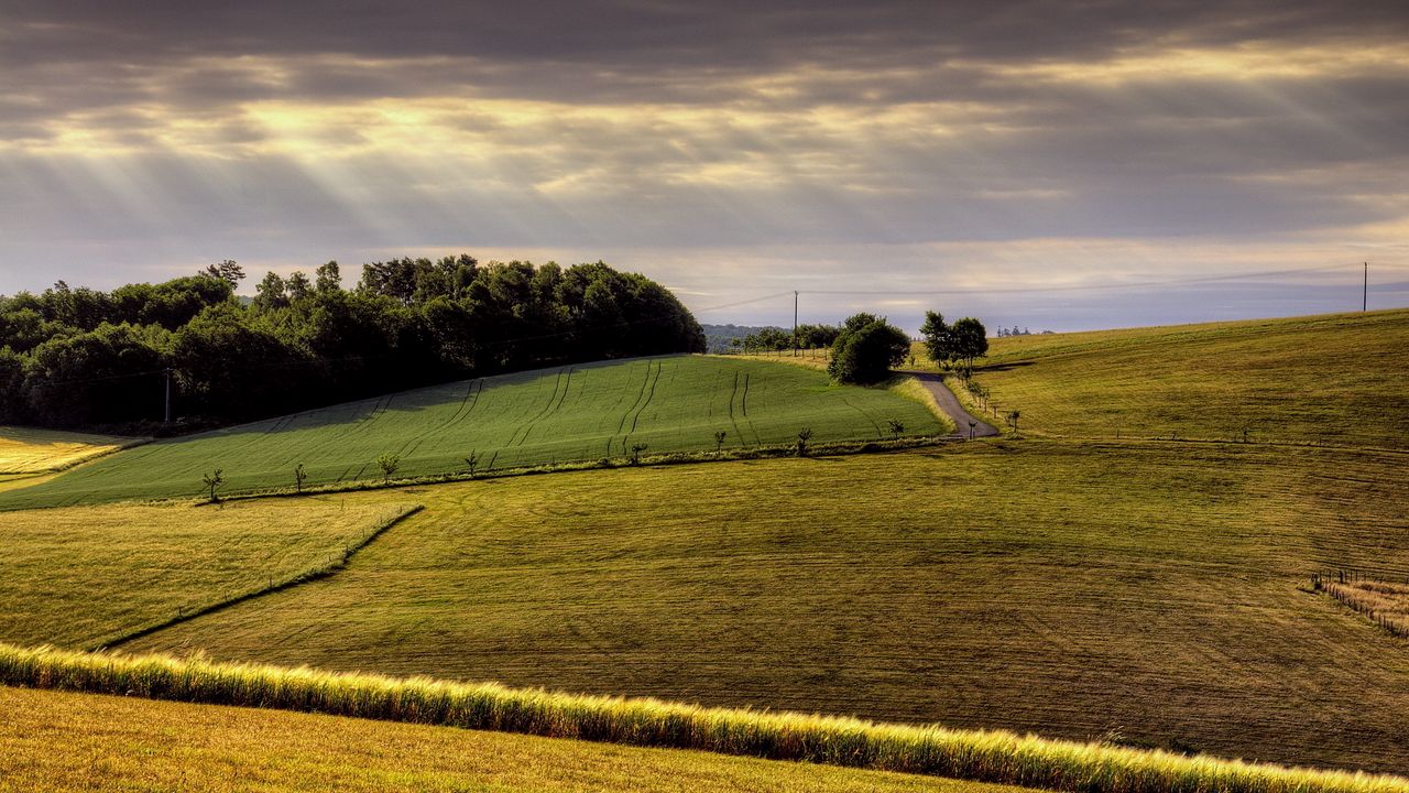 Wallpaper field, arable land, agriculture, hills, road, day