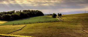 Preview wallpaper field, arable land, agriculture, hills, road, day