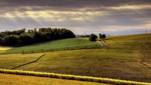 Preview wallpaper field, arable land, agriculture, hills, road, day