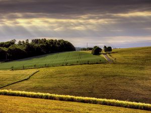 Preview wallpaper field, arable land, agriculture, hills, road, day