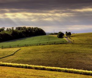 Preview wallpaper field, arable land, agriculture, hills, road, day