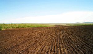 Preview wallpaper field, arable land, lines, ranks, agriculture