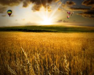 Preview wallpaper field, autumn, balloons, flight, colors, paints, sun, light, evening, decline