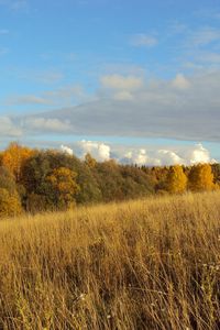 Preview wallpaper field, autumn, grass, faded, glade, meadow