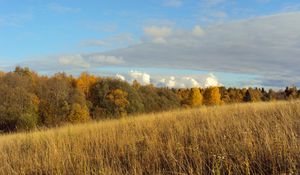 Preview wallpaper field, autumn, grass, faded, glade, meadow