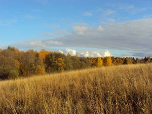 Preview wallpaper field, autumn, grass, faded, glade, meadow