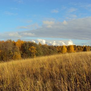 Preview wallpaper field, autumn, grass, faded, glade, meadow