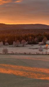 Preview wallpaper field, autumn, trees, evening