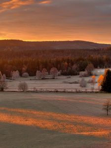 Preview wallpaper field, autumn, trees, evening