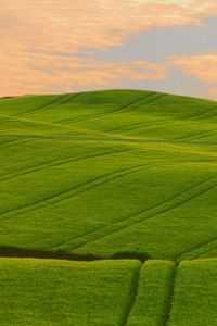 Preview wallpaper field, beautiful, distance, summer