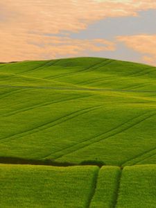 Preview wallpaper field, beautiful, distance, summer