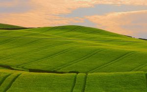 Preview wallpaper field, beautiful, distance, summer