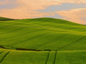 Preview wallpaper field, beautiful, distance, summer