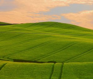 Preview wallpaper field, beautiful, distance, summer