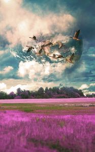 Preview wallpaper field, birds, photoshop, flight, sky, grass