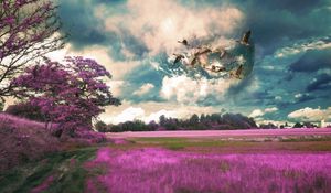 Preview wallpaper field, birds, photoshop, flight, sky, grass