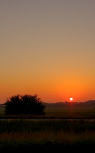Preview wallpaper field, bush, twilight, grass