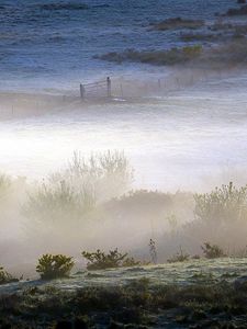 Preview wallpaper field, bushes, fog, gate, grounds