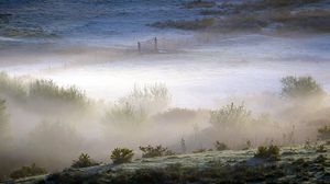 Preview wallpaper field, bushes, fog, gate, grounds