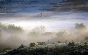 Preview wallpaper field, bushes, fog, gate, grounds