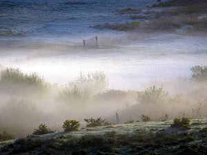 Preview wallpaper field, bushes, fog, gate, grounds