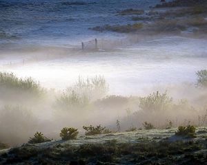 Preview wallpaper field, bushes, fog, gate, grounds