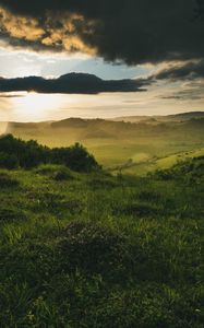 Preview wallpaper field, bushes, rays, clouds, shine