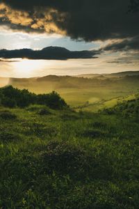 Preview wallpaper field, bushes, rays, clouds, shine