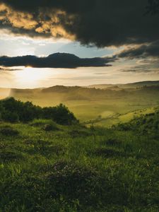 Preview wallpaper field, bushes, rays, clouds, shine