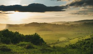 Preview wallpaper field, bushes, rays, clouds, shine