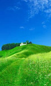 Preview wallpaper field, chapel, structure, green, summer, grass, brightly, meadow, flowers