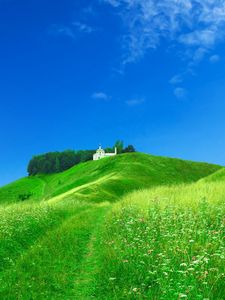 Preview wallpaper field, chapel, structure, green, summer, grass, brightly, meadow, flowers
