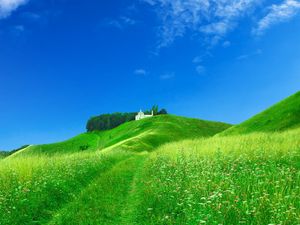 Preview wallpaper field, chapel, structure, green, summer, grass, brightly, meadow, flowers