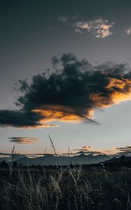 Preview wallpaper field, clouds, grass, sunset, twilight