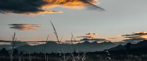 Preview wallpaper field, clouds, grass, sunset, twilight